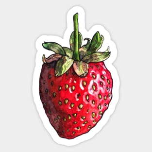 Watercolor Strawberry Sticker